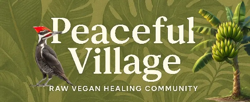 Peaceful Village Raw Vegan Healing Community